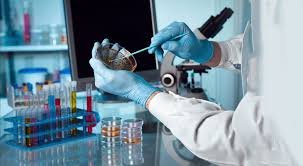 Microbiology