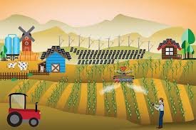 Rural Development