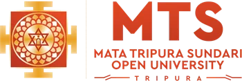 MTS University